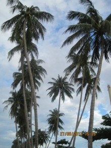 Очень миленькое местечко