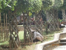 Очень миленькое местечко