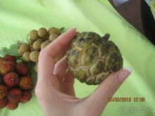 Очень миленькое местечко