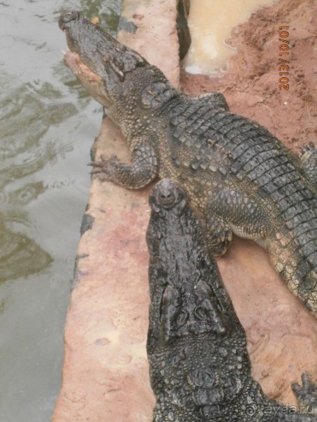 Очень миленькое местечко