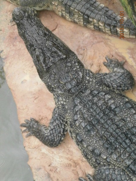 Очень миленькое местечко