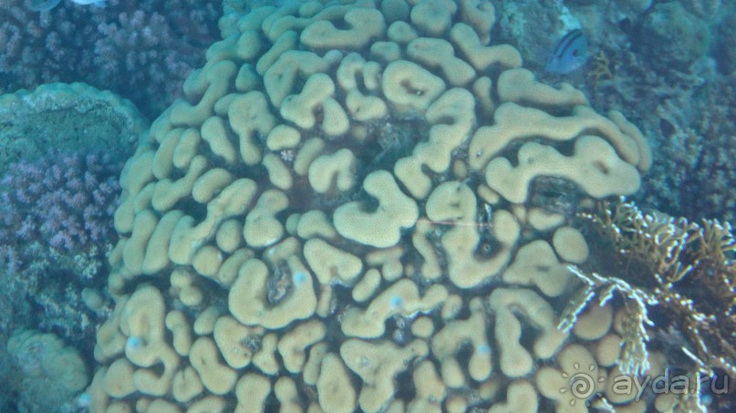 простенький отель, для неприхотливых