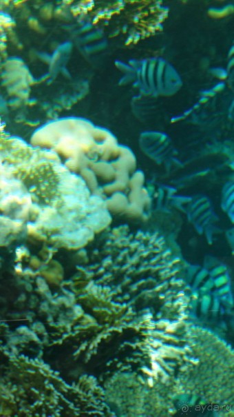 простенький отель, для неприхотливых