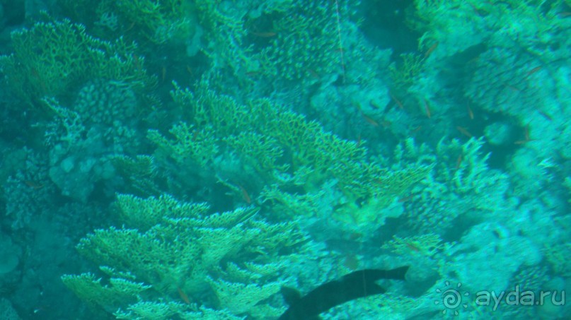 простенький отель, для неприхотливых