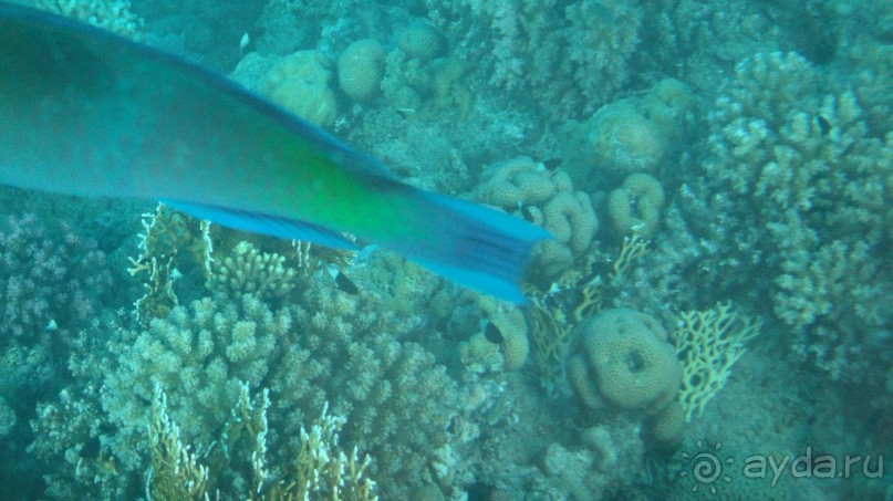 простенький отель, для неприхотливых