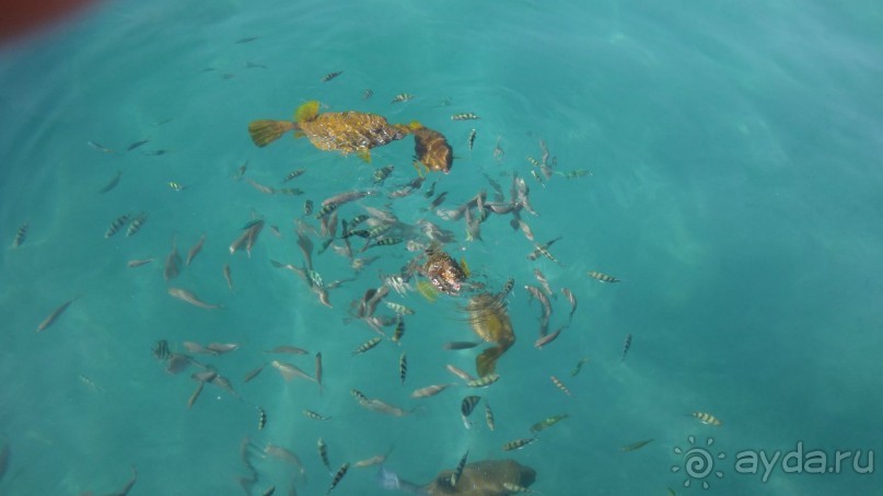 простенький отель, для неприхотливых