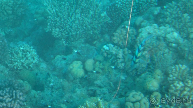 простенький отель, для неприхотливых