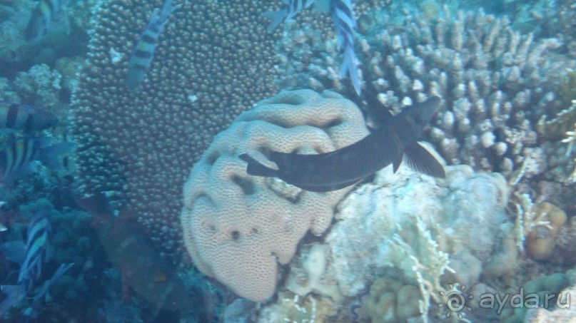 простенький отель, для неприхотливых