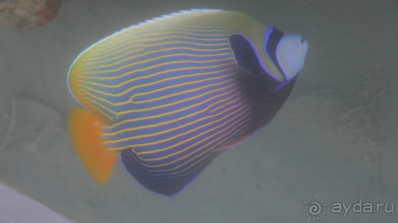 простенький отель, для неприхотливых