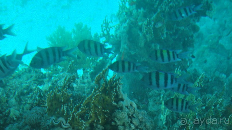 простенький отель, для неприхотливых