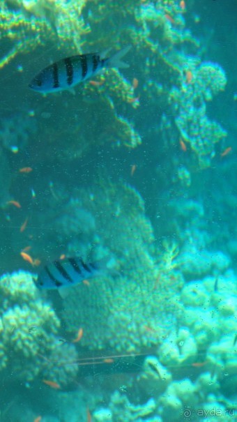 простенький отель, для неприхотливых