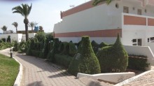 фото Al Moggar Garden Beach Club