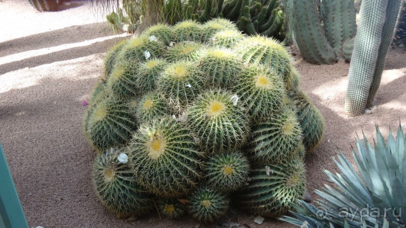 отличный отдых