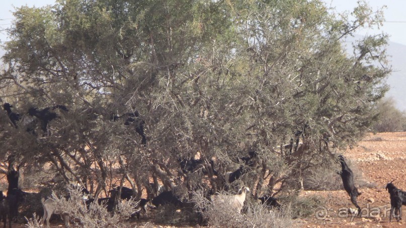 отличный отдых