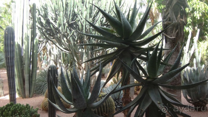 отличный отдых