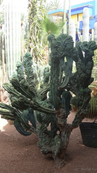 отличный отдых