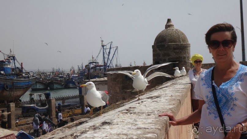 отличный отдых