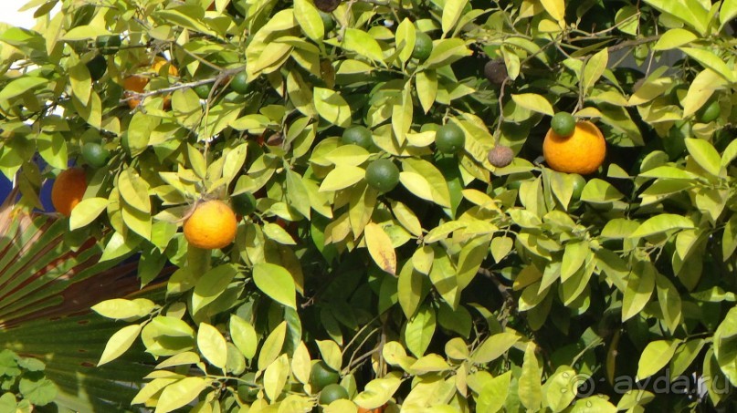 отличный отдых