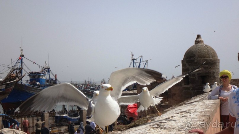 отличный отдых