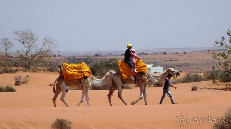 отличный отдых