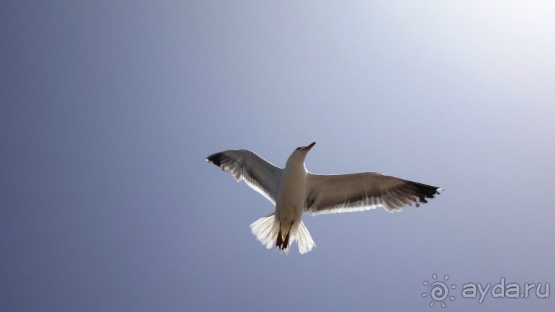 отличный отдых