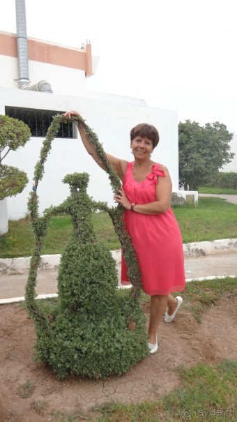 отличный отдых