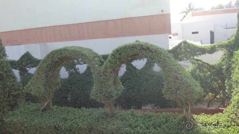 отличный отдых