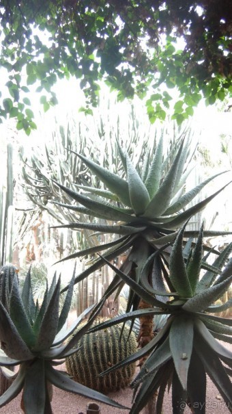 отличный отдых