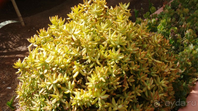 отличный отдых