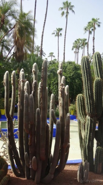 отличный отдых