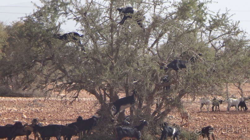 отличный отдых