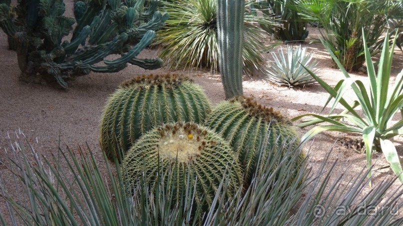 отличный отдых