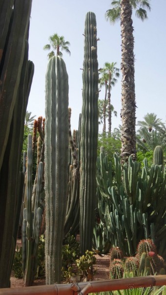 отличный отдых