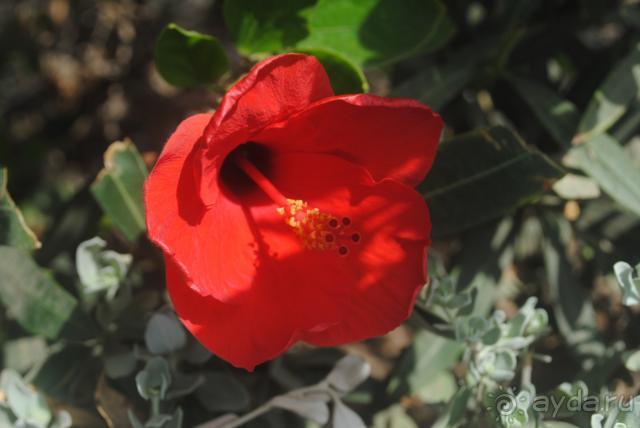 Отвратительный отель