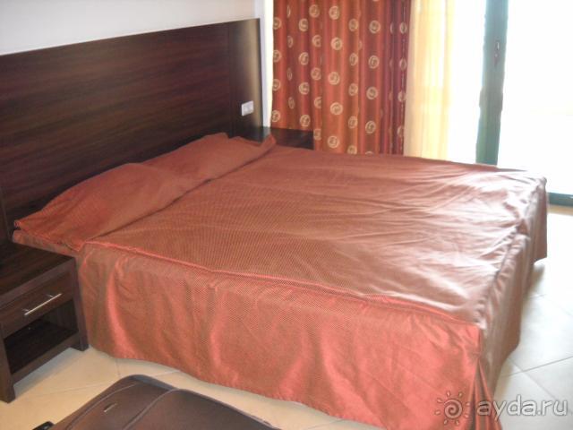 фото Alexis Hotel