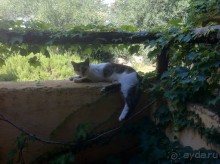 Отличное сочетание цены и качества.