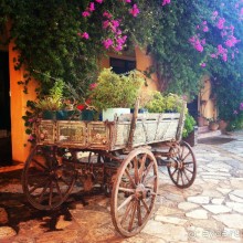 Отличное сочетание цены и качества.