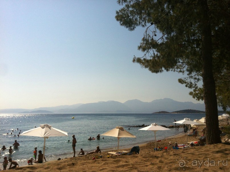 Отличное сочетание цены и качества. Отличное сочетание цены и качества.