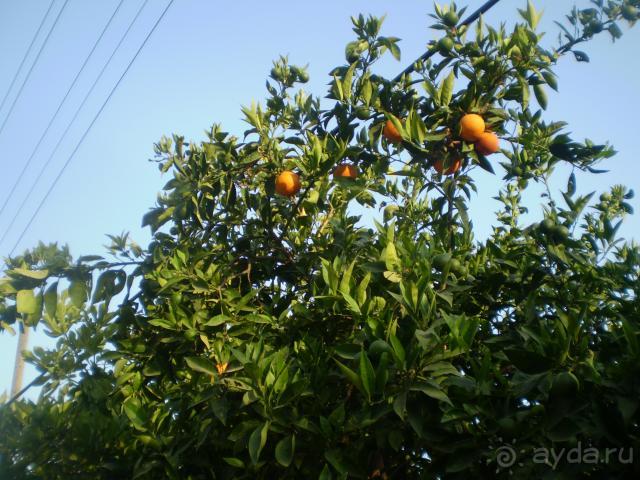 миленький,уютненький отельчик.