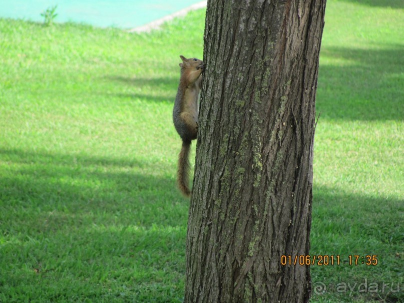 фото Crystal Tat Beach Golf Resort & Spa