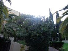 фото Iberostar Bellevue