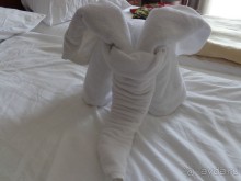 фото Iberostar Bellevue