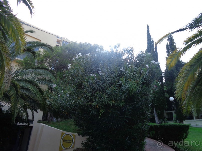 Приличный отель