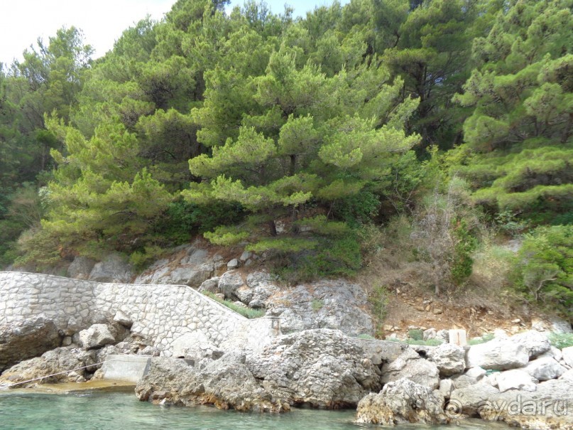 Приличный отель