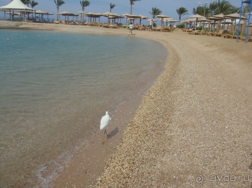 Средняя четверочка