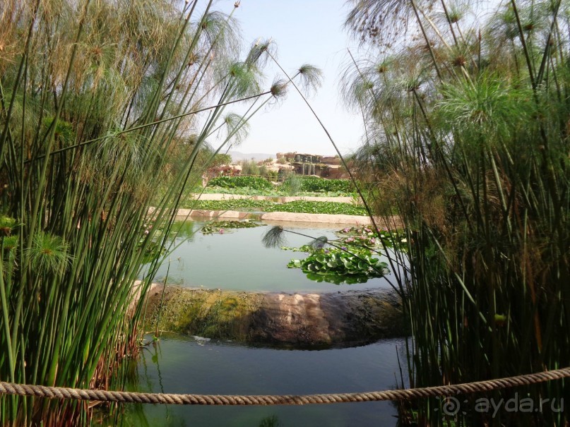 Необычная ... интересная страна