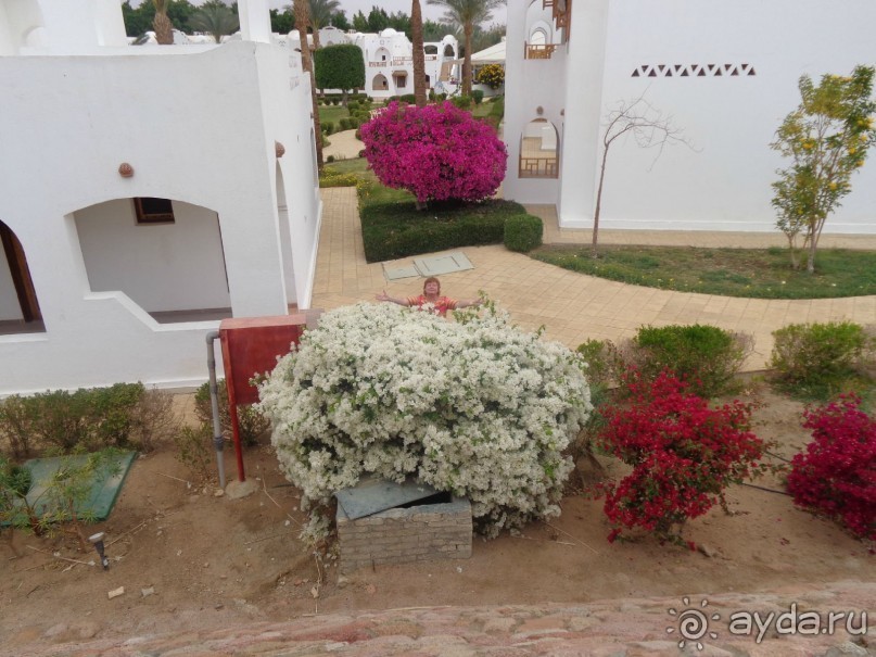 Очень даже неплохой отель