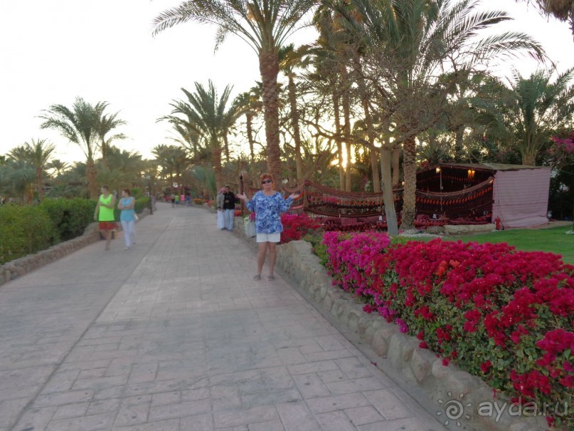 Очень даже неплохой отель