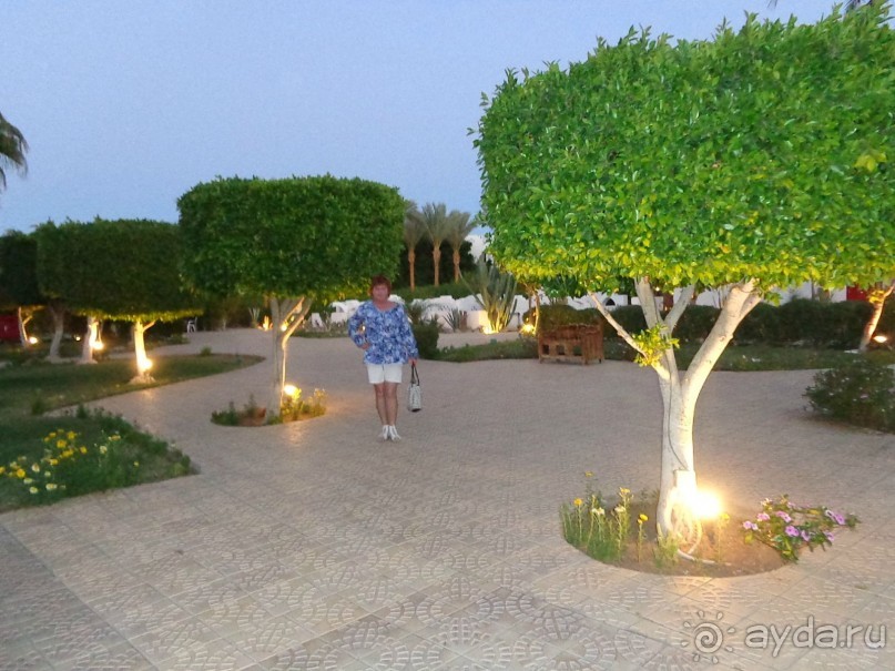 Очень даже неплохой отель