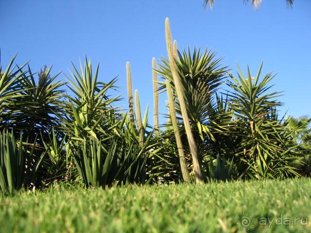 фото Sol Y Mar Makadi Sun (закрыт)